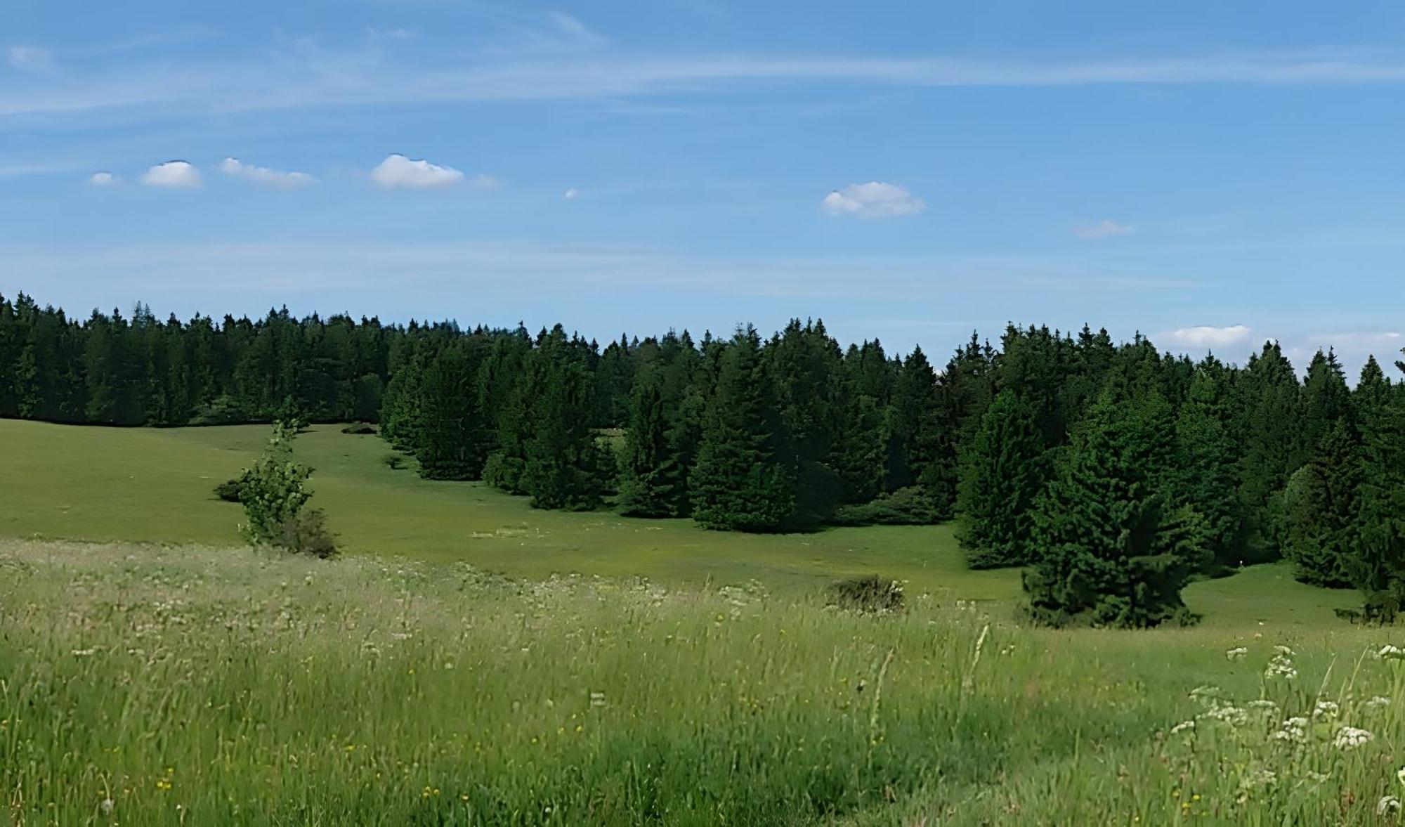 Ferienhaus Zur Schoenen Aussicht Hardt  Екстер'єр фото